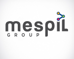 mespil group
