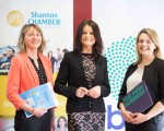 Flexible Workers and Work Arrangements Gaining Momentum … Shannon Chamber Seminar hears