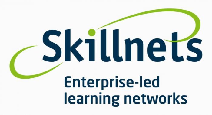 Major opportunity for businesses to transform their workforce through €1 million Skillnets fund