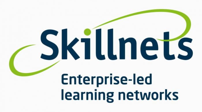 Major opportunity for businesses to transform their workforce through €1 million Skillnets fund