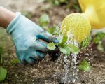 Irish Water appeals to Clare public to reduce water usage right across county