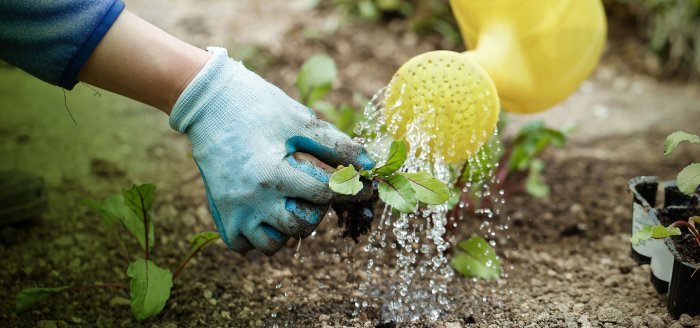 Water Conservation Order ‘increasingly likely’ as demand for water soars and drought conditions prevail