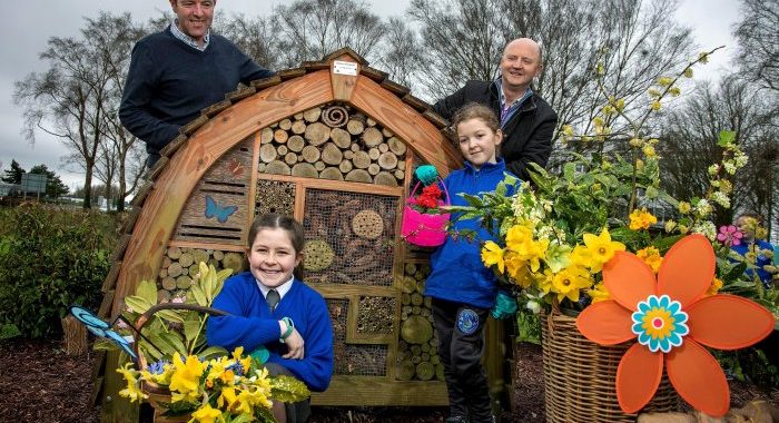 Primary school student wins competition to design a new Biodiversity Garden in Shannon