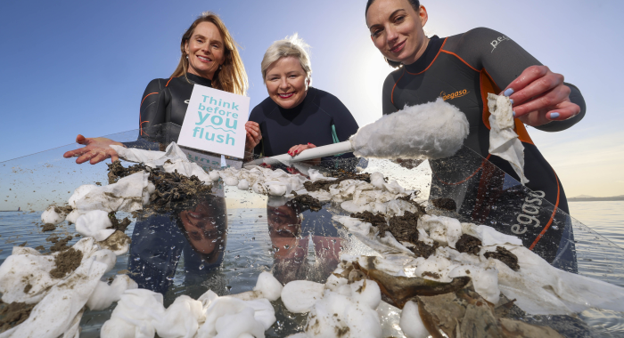 Increase In Clare Households Still Using The Toilet As A Bin