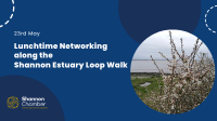 Lunchtime Networking along the Shannon Estuary Loop Walk