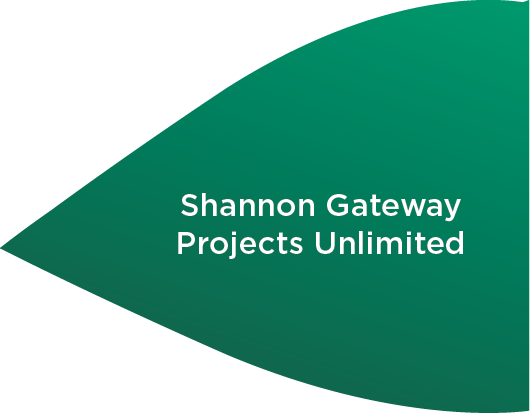 Landmark Town Centre Site Acquired to Help Shape the Future of Shannon